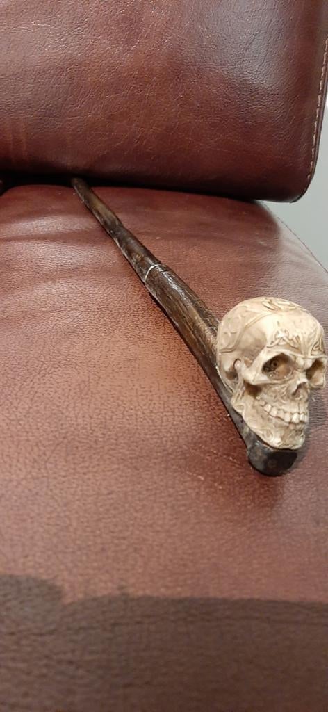 Wandelstok met Doodskop, Ophalen of Verzenden
