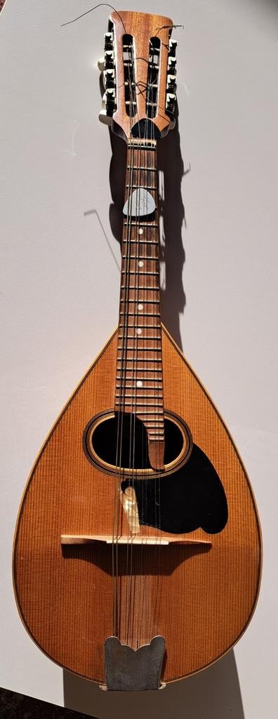 Mandoline, Muziek en Instrumenten, Ophalen of Verzenden