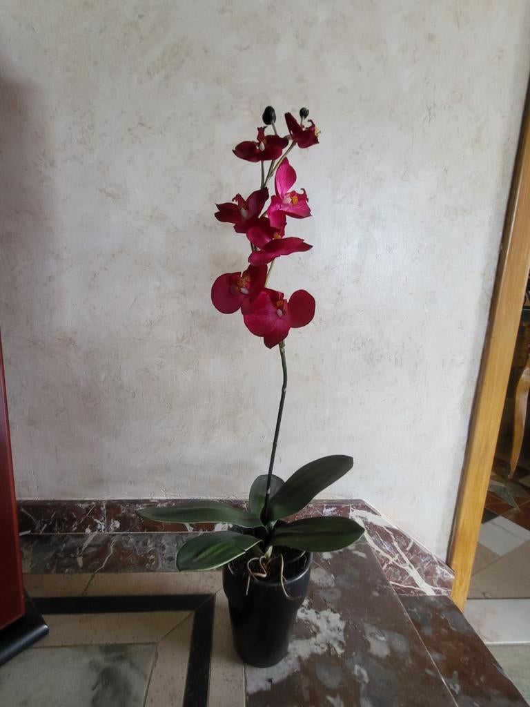 Kunststof orchidee ( zijde), Enlèvement ou Envoi