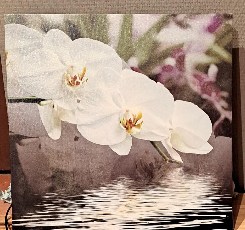 Leuke kader orchidee, Antiek en Kunst, Kunst | Schilderijen | Modern, Ophalen