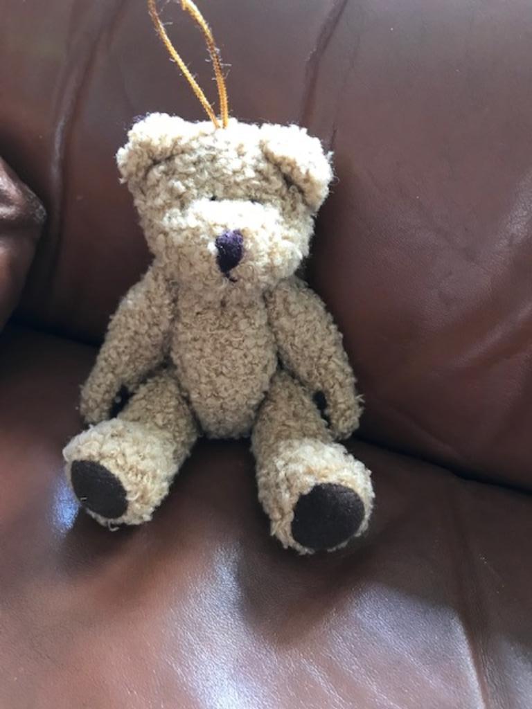 Nieuwe wasbare knuffel "Beer" (zn5533), Ophalen of Verzenden, Nieuw, Beer