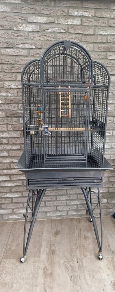 Zo goed als nieuw papegaaienkooi / parkietenkooi, Dieren en Toebehoren, Vogels | Hokken en Kooien, Ophalen, Zo goed als nieuw