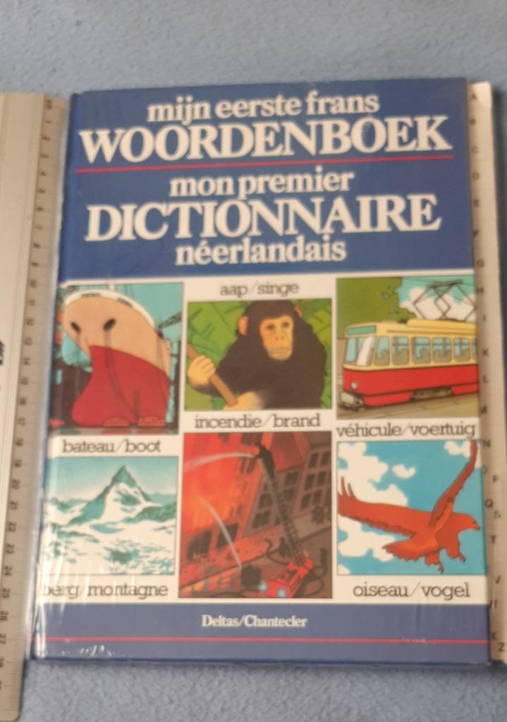 Mon premier dictionnaire français, Enlèvement, Neuf, Non-fiction