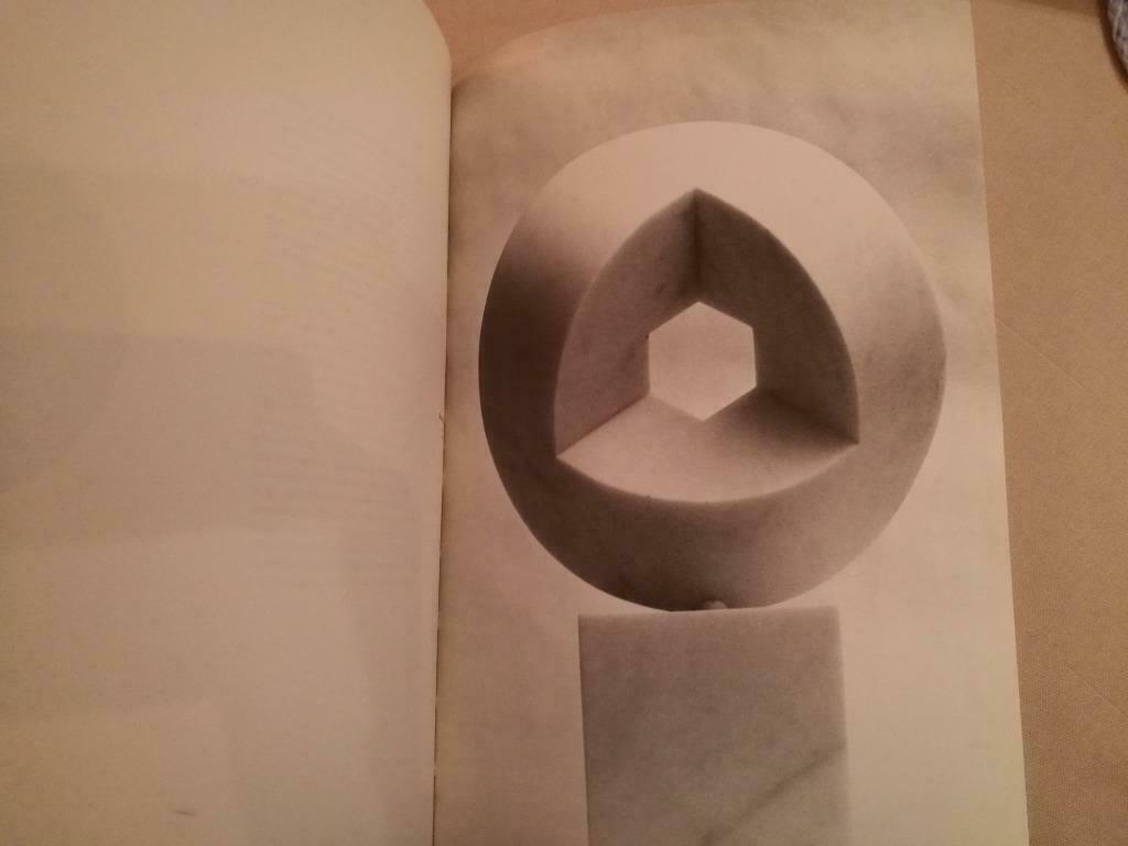 Jan Dries Sculpturen 90pag 85ill G58 Hessenhuis, Boeken, Ophalen of Verzenden, Zo goed als nieuw, Beeldhouwkunst