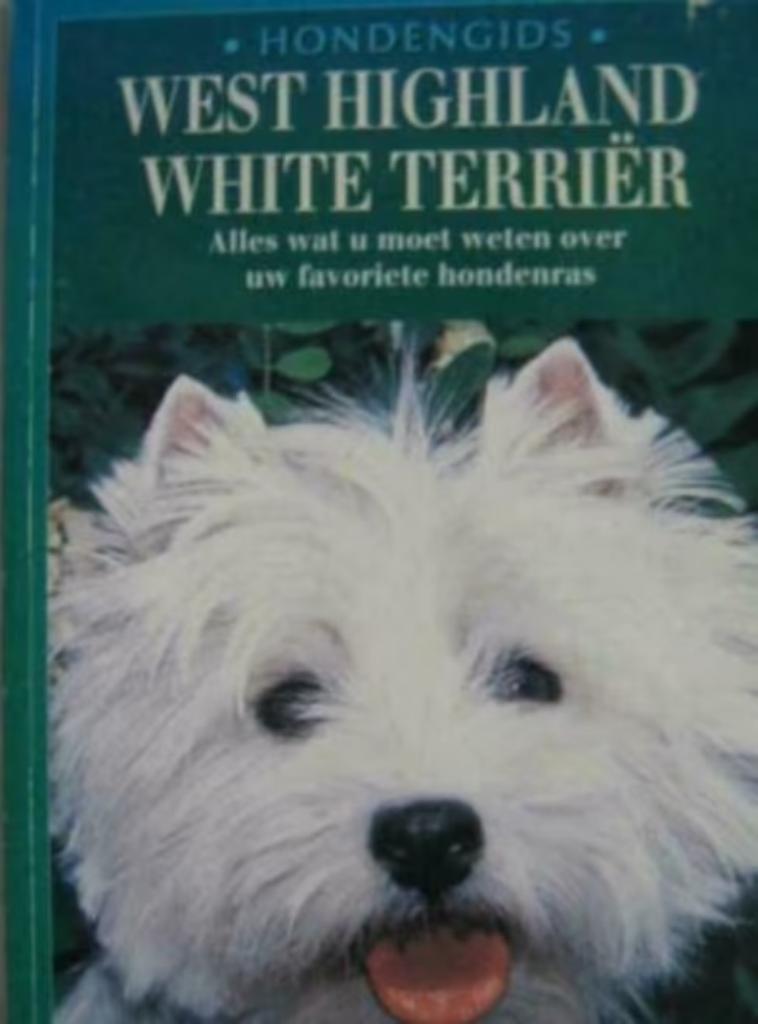 Hondengids / West Highland White Terrier, Ophalen of Verzenden, Zo goed als nieuw