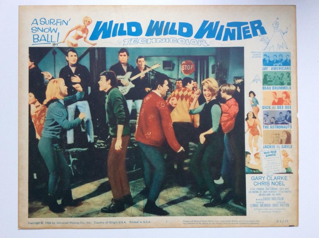 Wild Wild Winter - Original lobby card, Enlèvement ou Envoi, Rectangulaire horizontal, A1 jusqu'à A3, Utilisé
