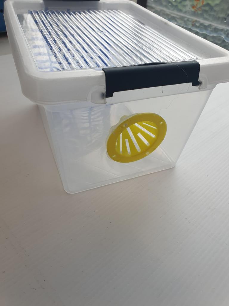 Selectieve val voor Aziatische hoornaar, Ophalen, Nieuw