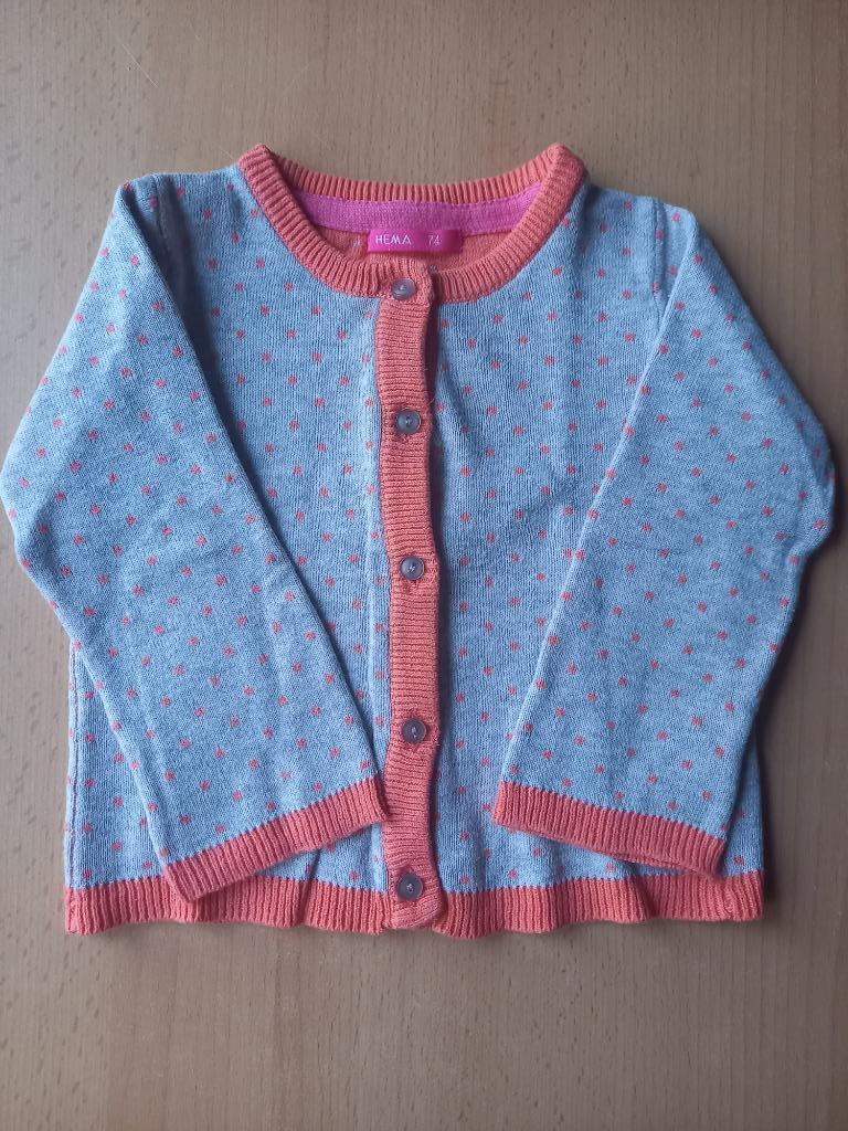 Mooie gilet met oranje bolletjes, maat 74, meisje, Hema, Ophalen of Verzenden, Zo goed als nieuw, Hema, Truitje of Vestje
