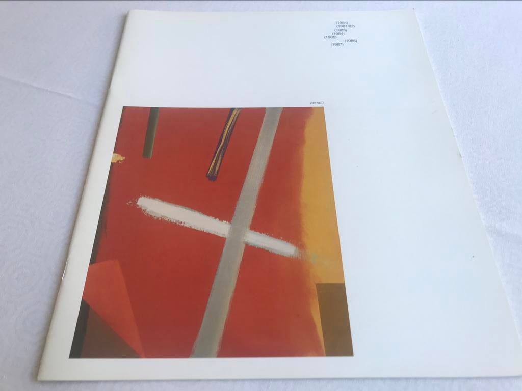 Raoul De Keyser schilderijen 20pag, Ophalen of Verzenden, Zo goed als nieuw, Schilder- en Tekenkunst
