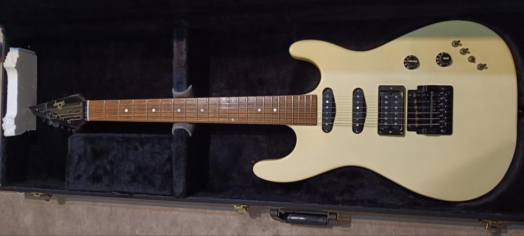 Vintage the heritage superstrat H 160-V, Ophalen