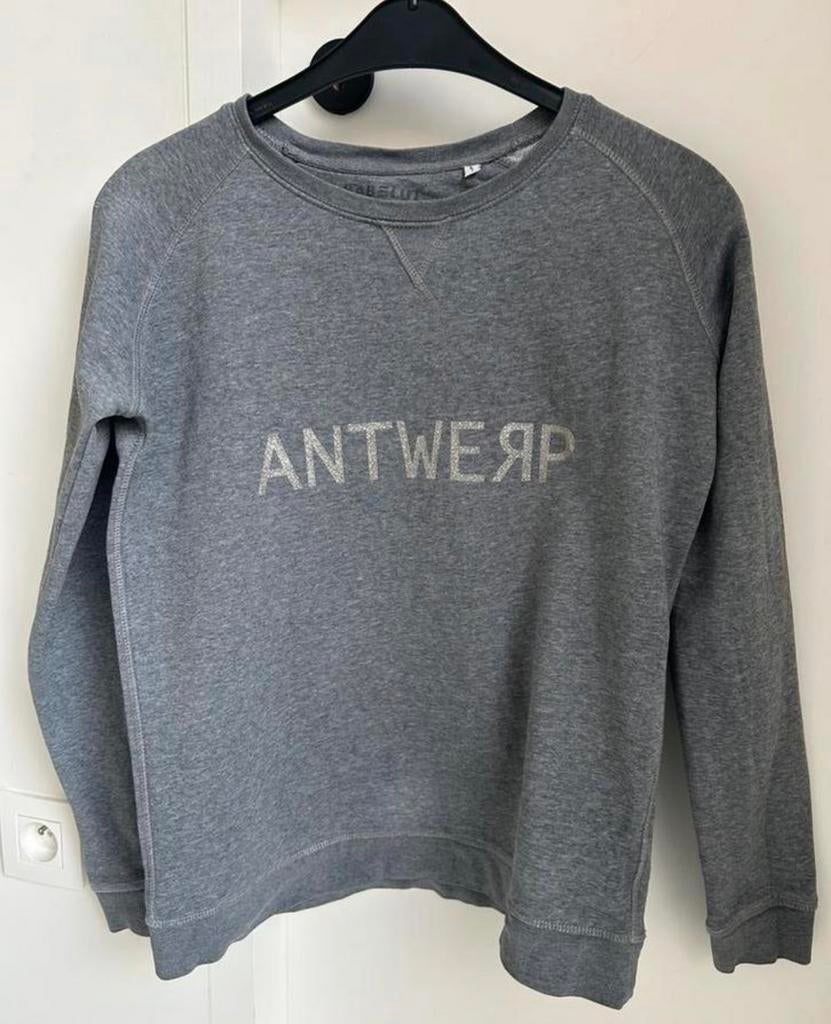 Grijze sweater - Antwerp - small, Ophalen of Verzenden, Gedragen, Maat 36 (S), Grijs