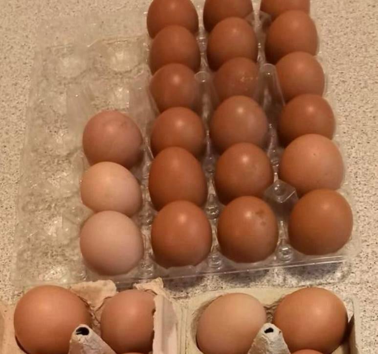 Eieren, Dieren en Toebehoren, Ophalen