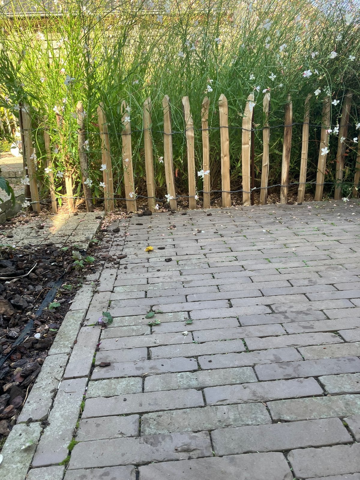 Hazelaarhouten lattenrek, 60cm H, 5meter lang, Jardin & Terrasse, Enlèvement, Neuf, Bois, Clôture ornementale