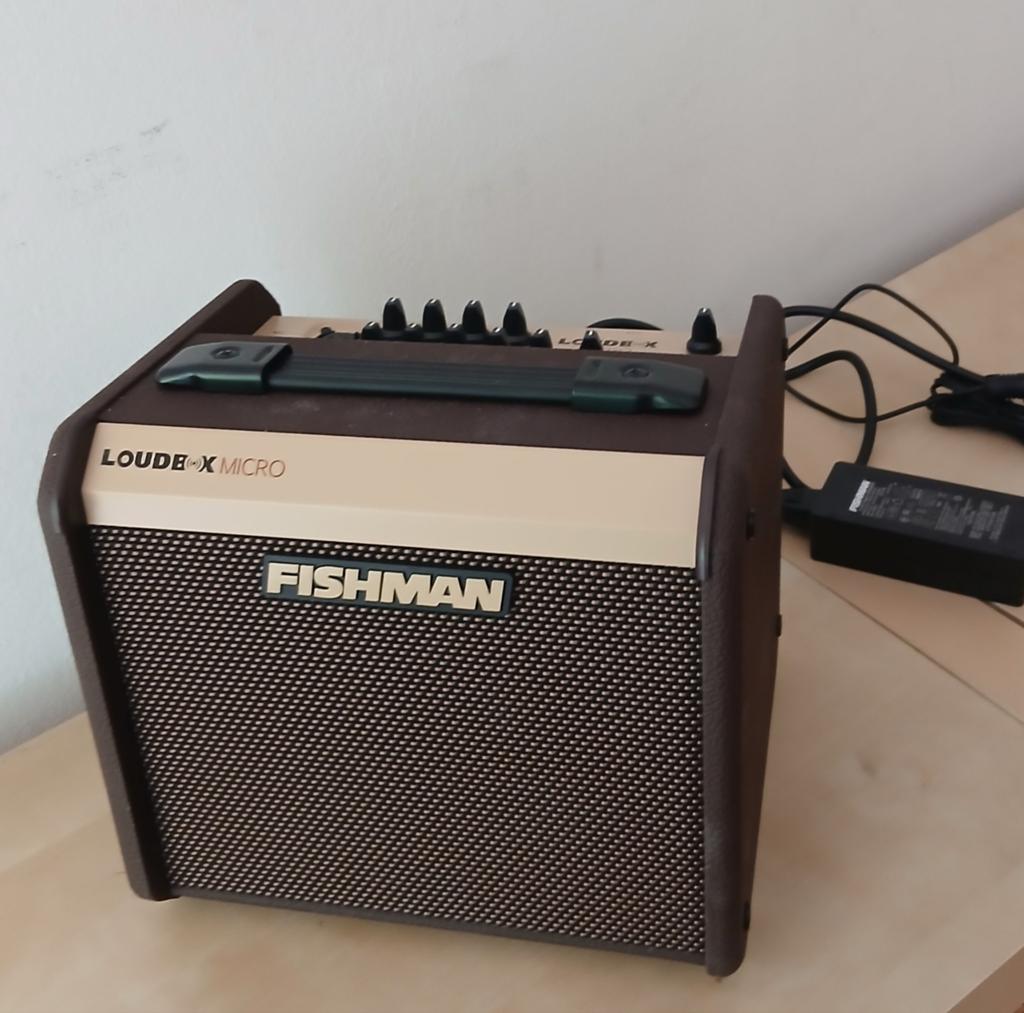 Fishman Loudbox Micro 40 watt, nieuw., Ophalen of Verzenden, Nieuw, Gitaar, Minder dan 50 watt