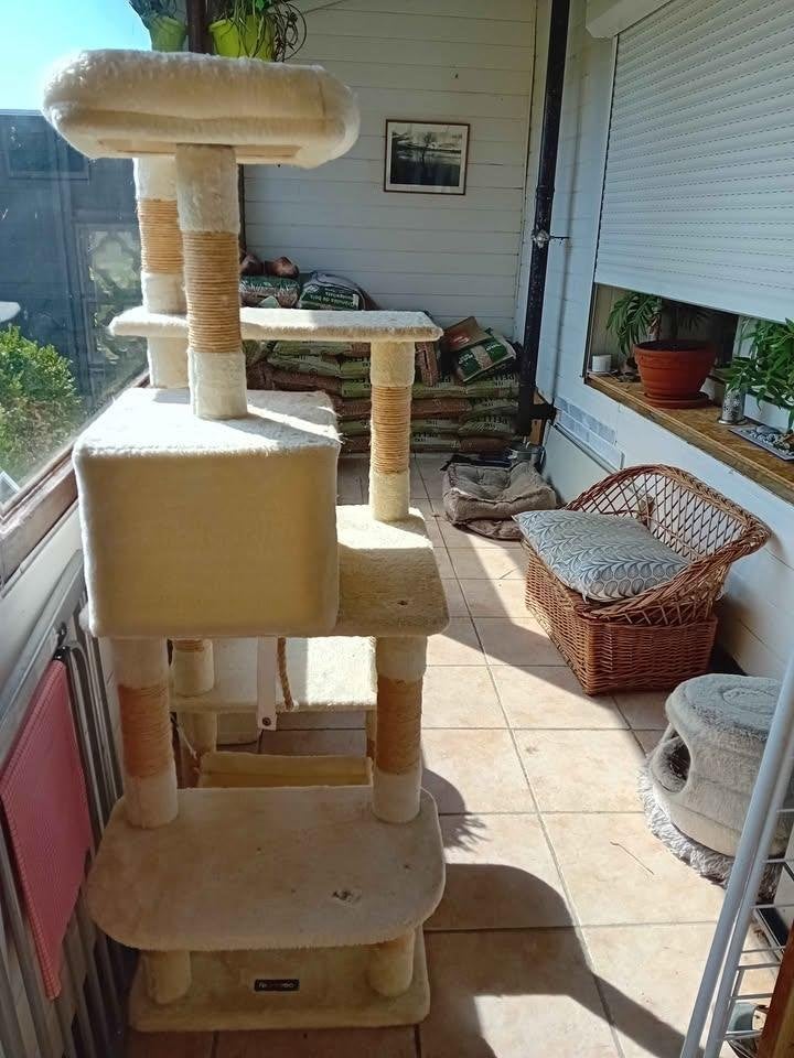 arbre à chat, Enlèvement, Utilisé