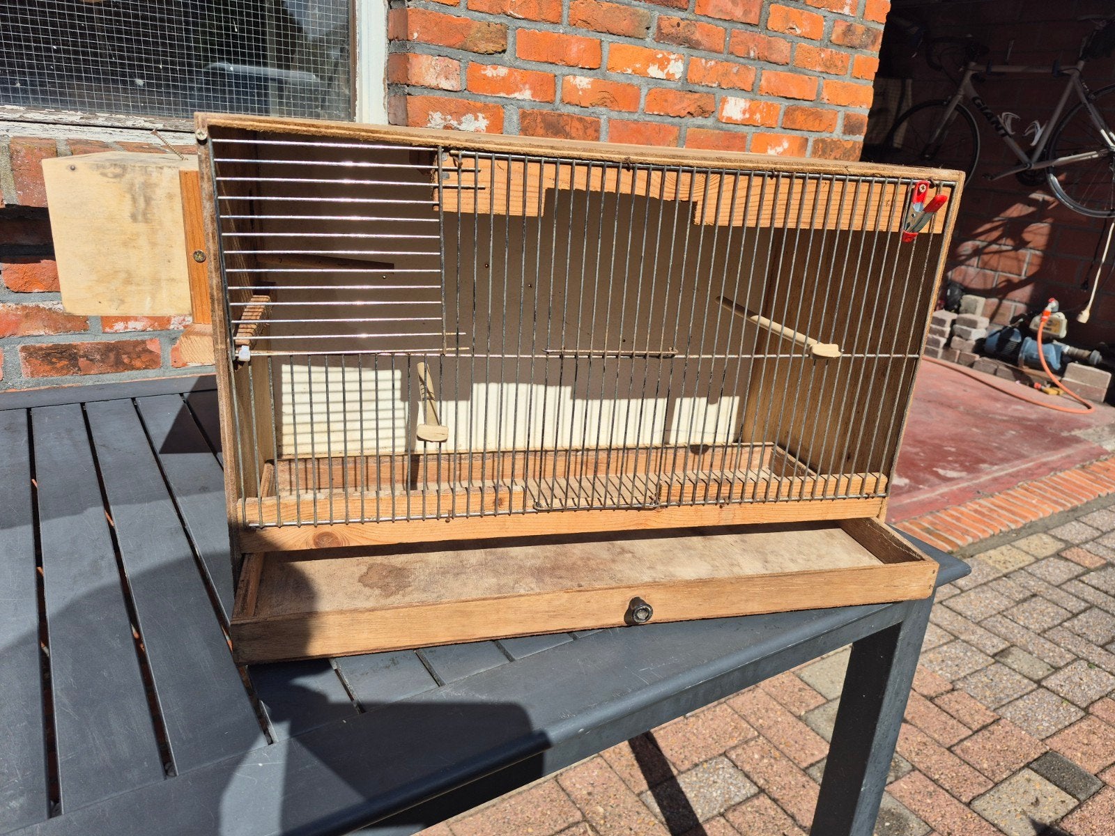 kweekkooi, Dieren en Toebehoren, Ophalen