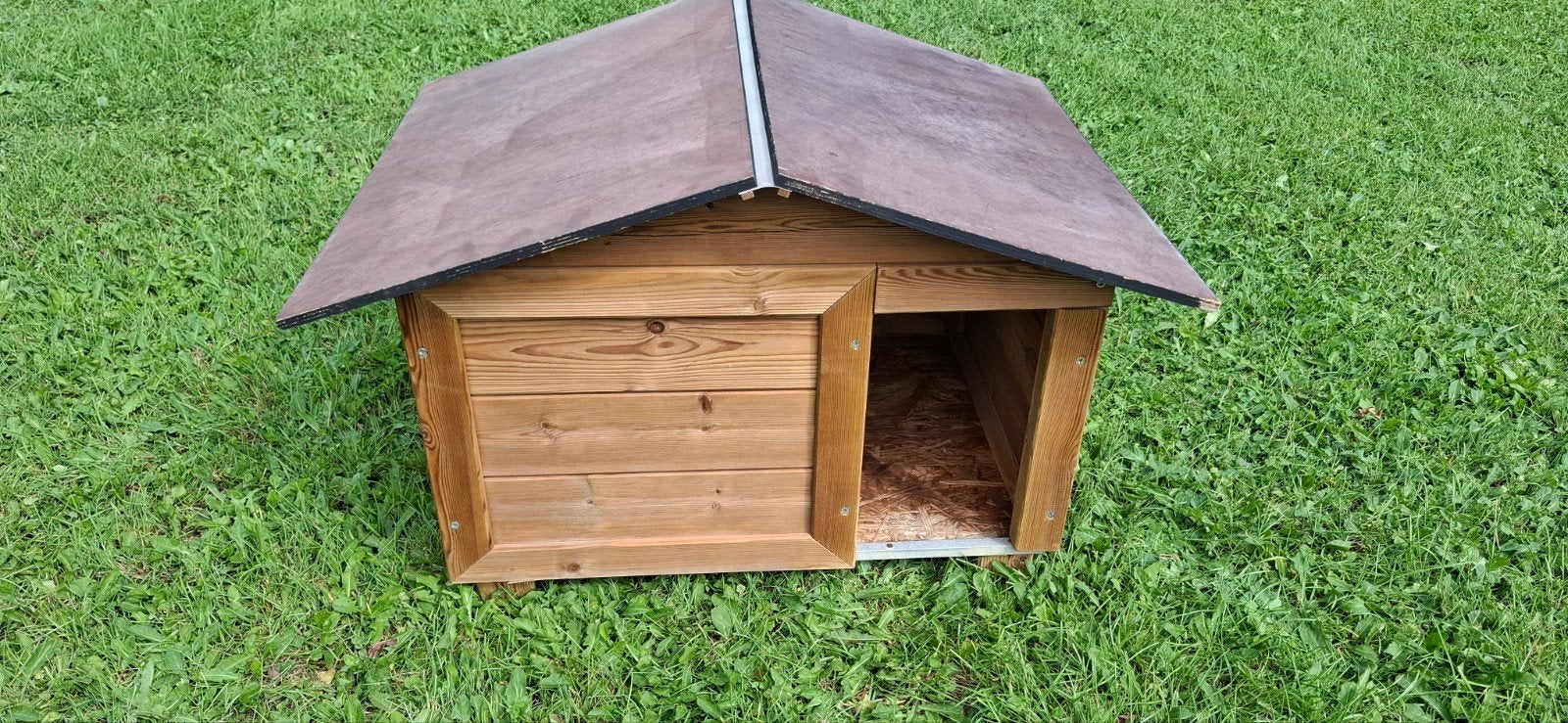 NICHE POUR CHIEN, Enlèvement