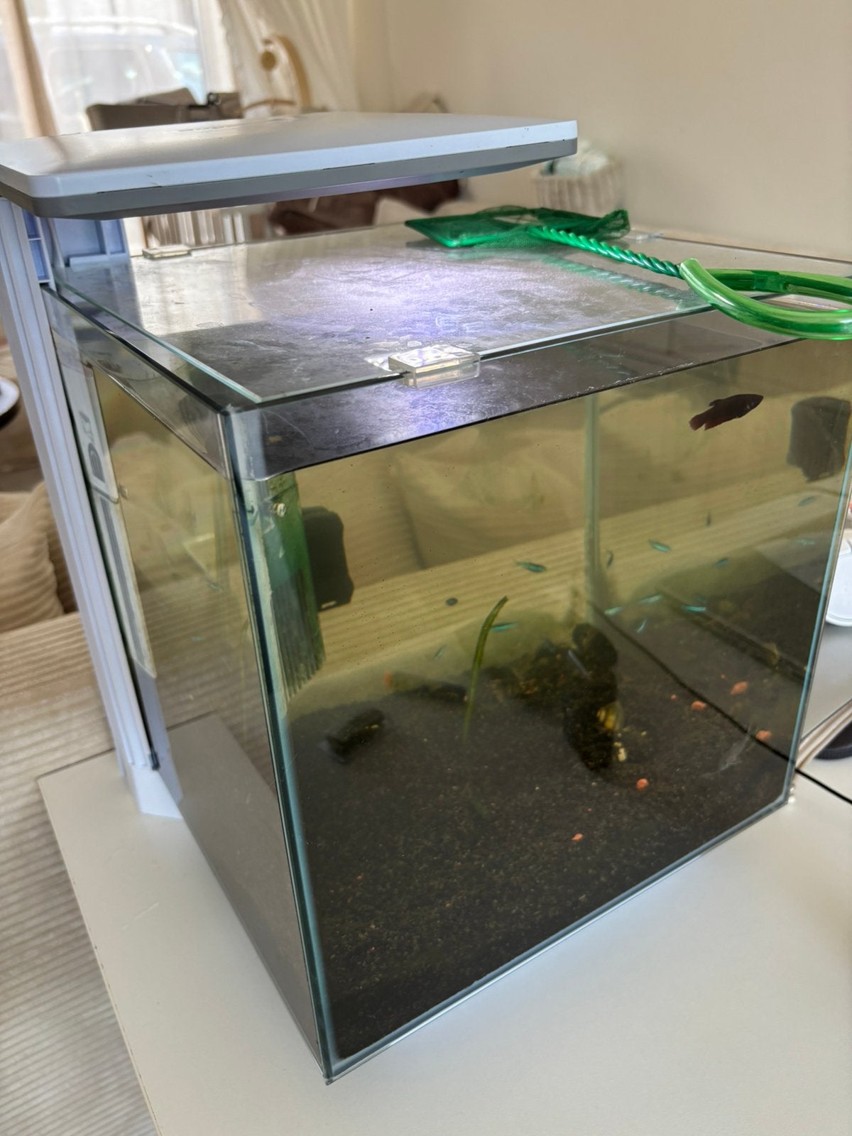Mooi aquarium superfish qube 30PRO, Dieren en Toebehoren, Ophalen, Zo goed als nieuw, Filter, Superfish