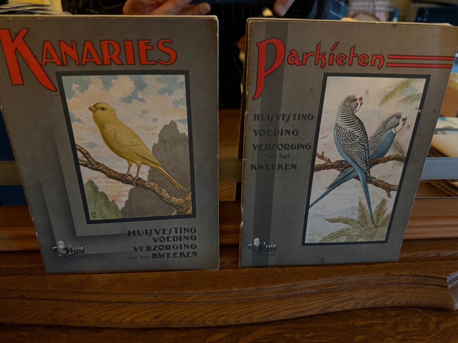 Kanaries - Parkieten, Ophalen of Verzenden, Zo goed als nieuw, Vogels