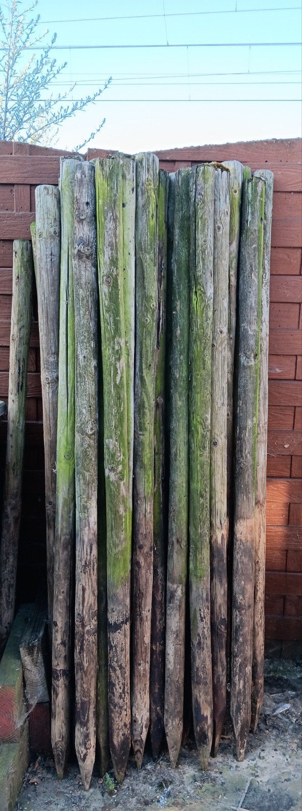 Gebruikte weidepalen, Tuin en Terras, Palen, Balken en Planken, Ophalen