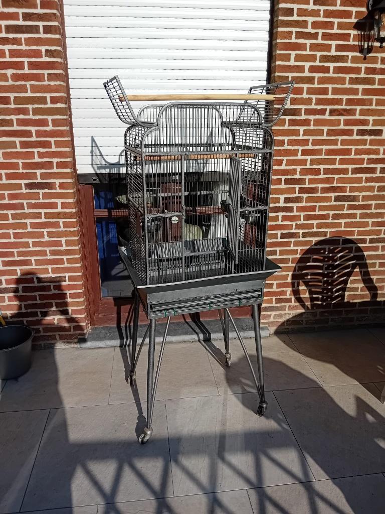 Cage perroquet, Animaux & Accessoires, Enlèvement, Utilisé, Métal, Cage à oiseaux