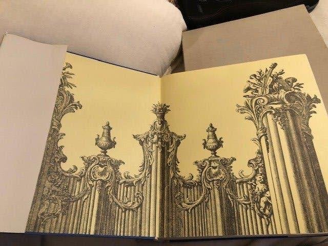 De orgelkunst in de Nederlanden van de 16e tot de 18e eeuw -, Ophalen of Verzenden, Zo goed als nieuw, Instrument