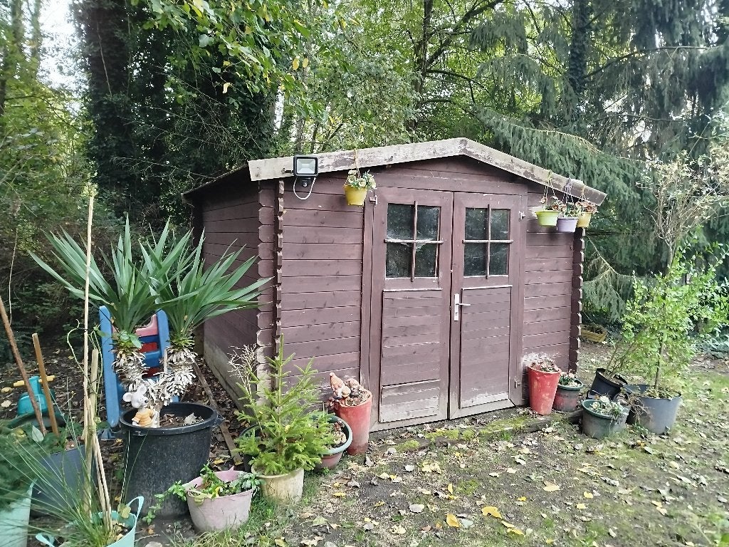 Abris de jardin, 200 à 400 cm, 250 à 300 cm, 2 fenêtres, Enlèvement