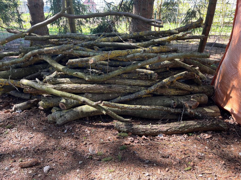 Partij brandhout, Diversen, Ophalen