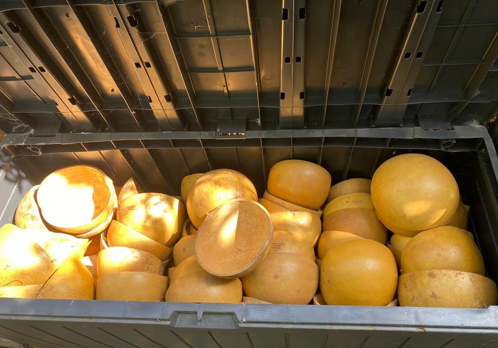 Kalebassen, Musique & Instruments, Instruments | Pièces, Enlèvement