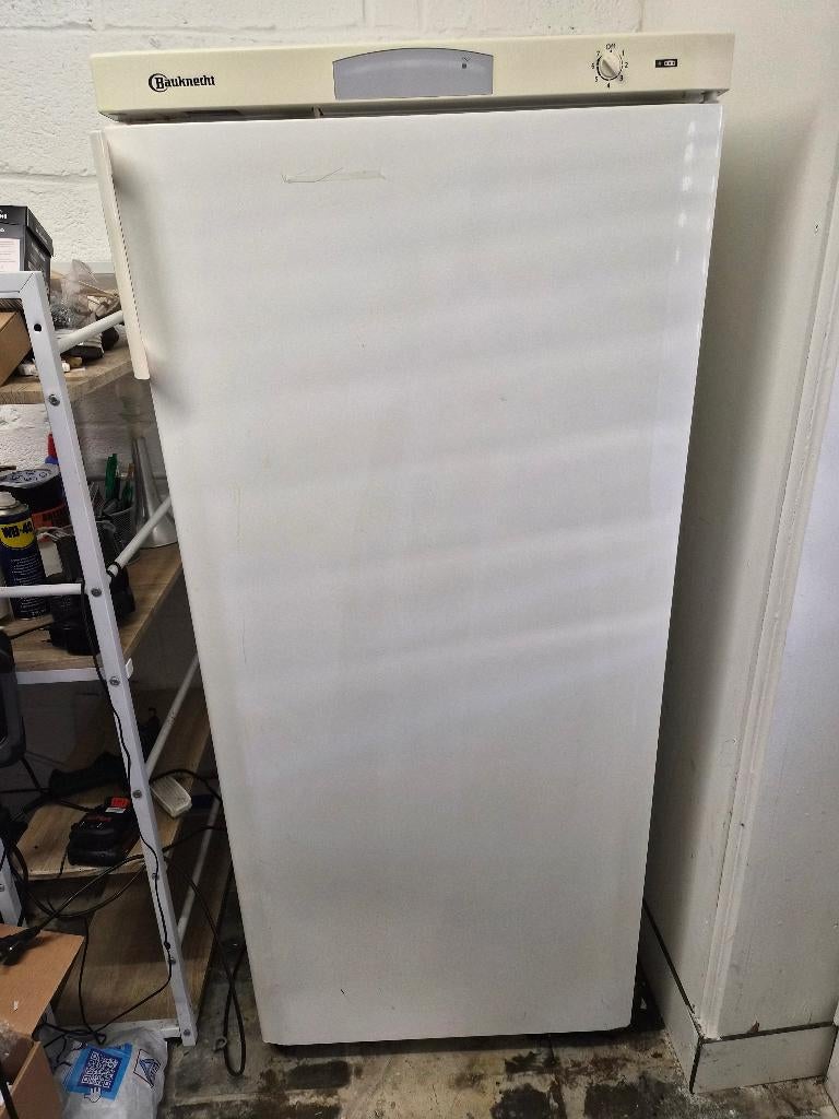 Frigo, Elektronische apparatuur, Koelkasten en IJskasten, Ophalen