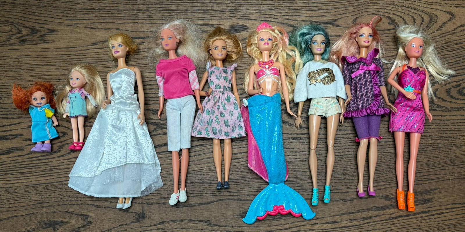 Grand lot : Barbies, Enchantimals, animaux et accessoires..., Enlèvement ou Envoi, Utilisé, Barbie