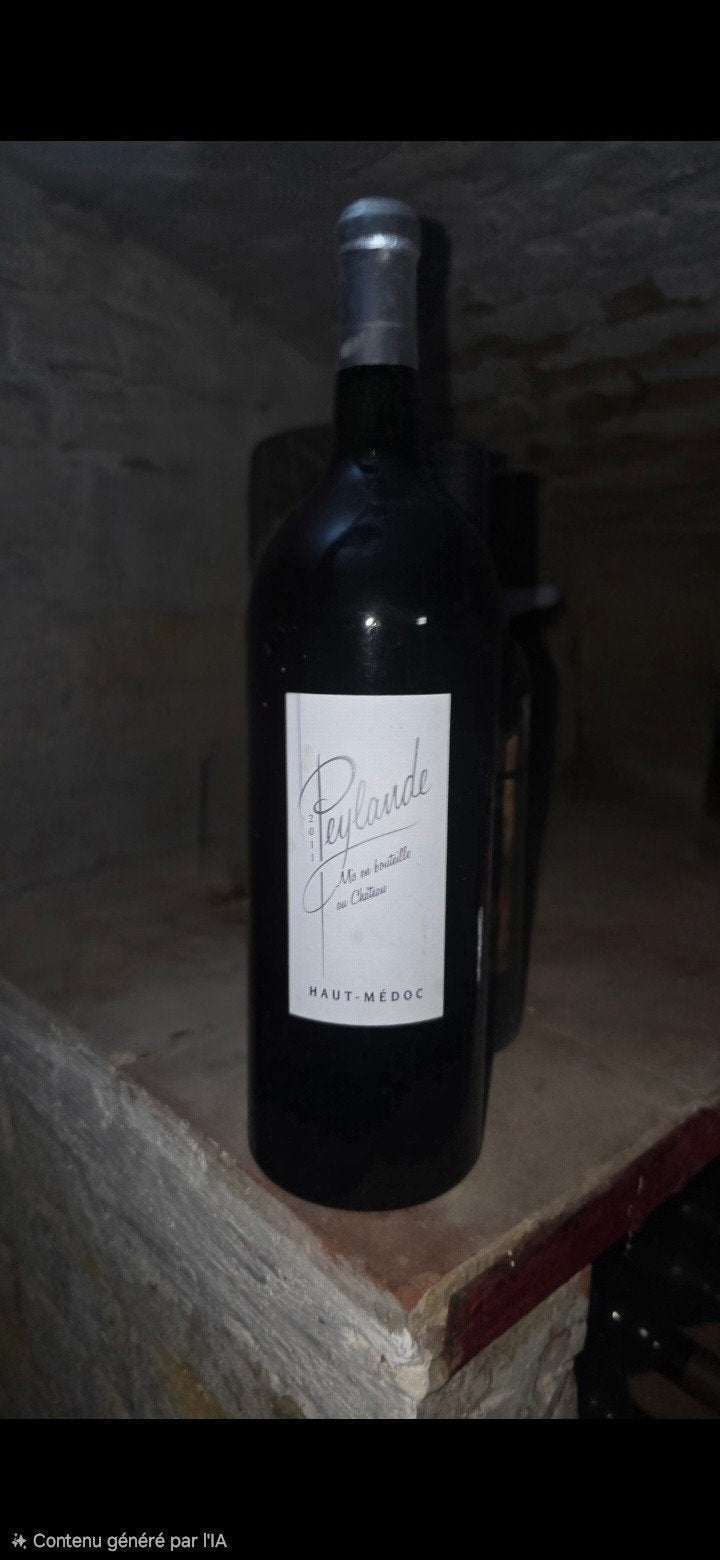 Château Colombe Peylande 2011.1,5l, Enlèvement ou Envoi, Neuf, Vin rouge, Pleine