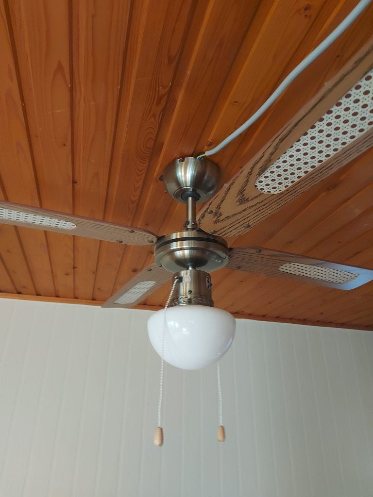 plafondventilator met licht, Electroménager, Enlèvement, Ventilateur de plafond