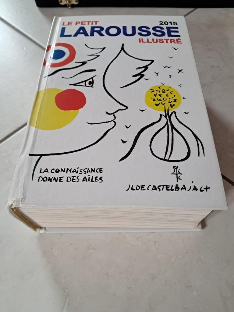 Dictionnaire Petit Larousse illustré 2015, Livres, Comme neuf, Français
