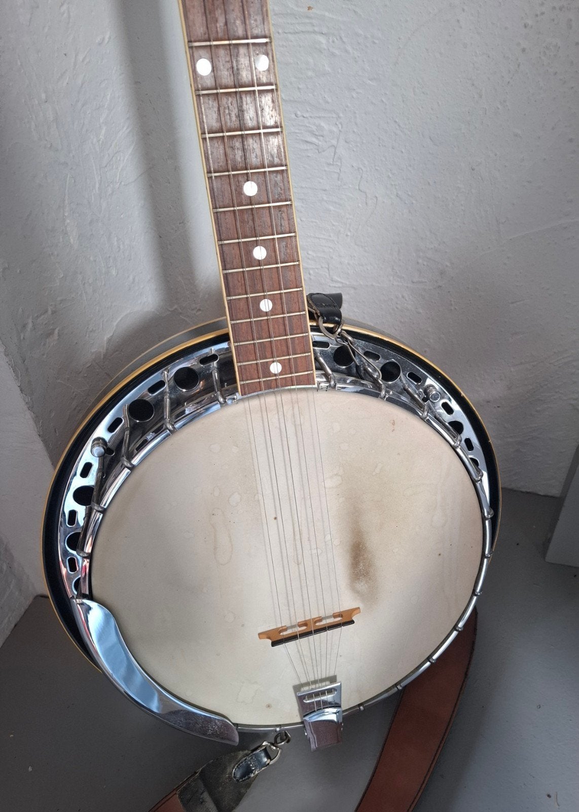 Fender 5 string banjo, Musique & Instruments, Enlèvement