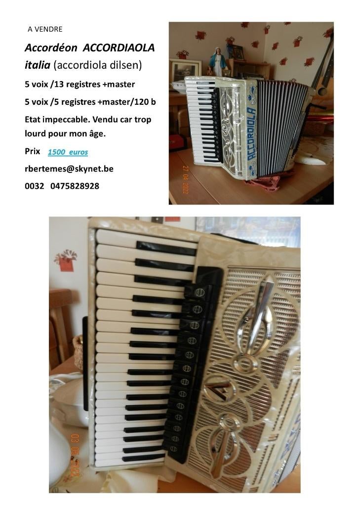 concertina, Ophalen, Gebruikt, Met koffer, Toetsaccordeon