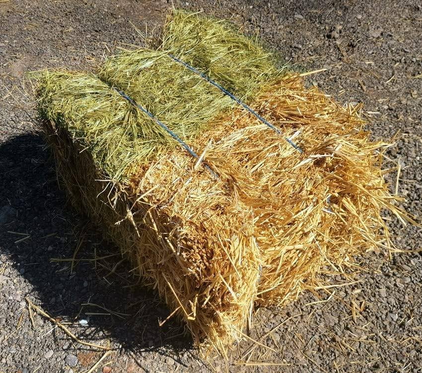 Petit ballot de paille départ champs, Articles professionnels, Agriculture | Aliments pour bétail, Enlèvement