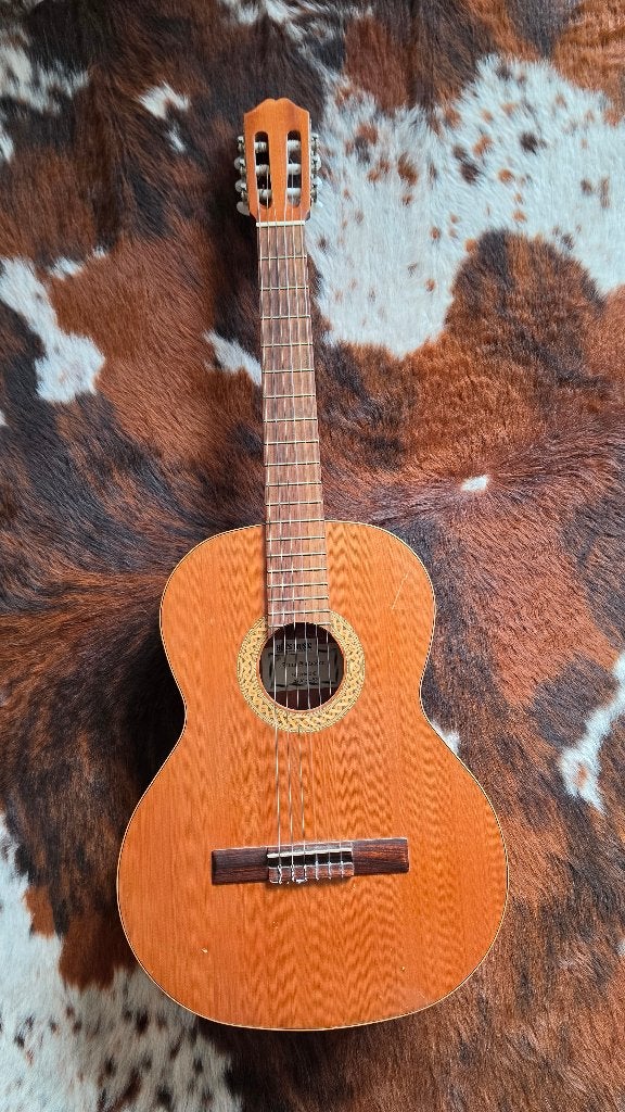 guitare, Enlèvement, Utilisé, Guitare classique ou espagnole