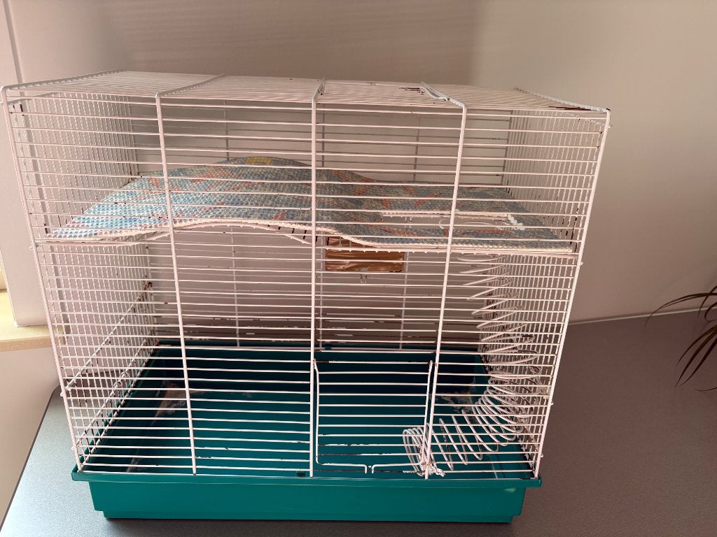 Grote hamsterkooi gratis, Moins de 60 cm, Cage, Utilisé, Hamster