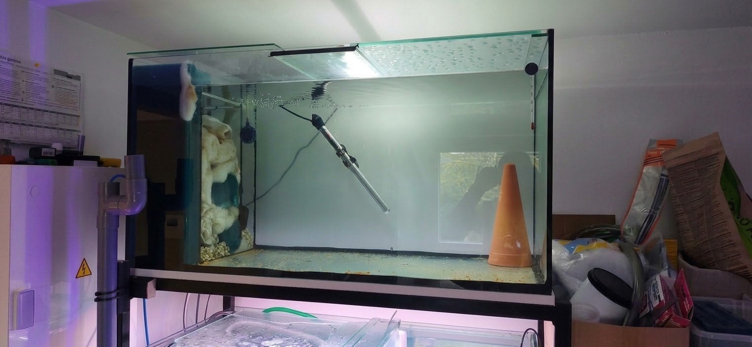 aquarium de 250l, Animaux & Accessoires, Enlèvement, Pompe