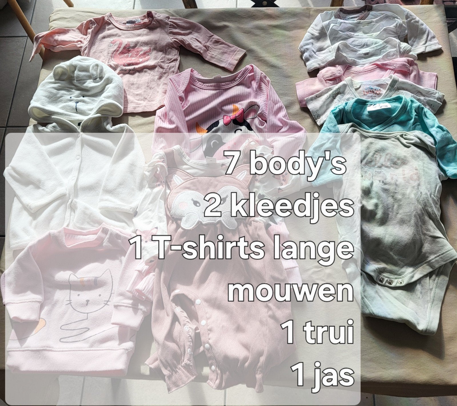 lot meisjeskledij maat 56, Kinderen en Baby's, Babykleding | Baby-kledingpakketten, Ophalen of Verzenden, Gebruikt, Maat 56