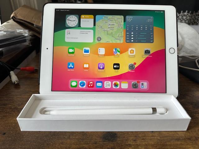 iPad 6e génération + apple pencil, Informatique & Logiciels, Apple iPad Tablettes, 32 GB, Enlèvement ou Envoi, Apple iPad, Or Rose
