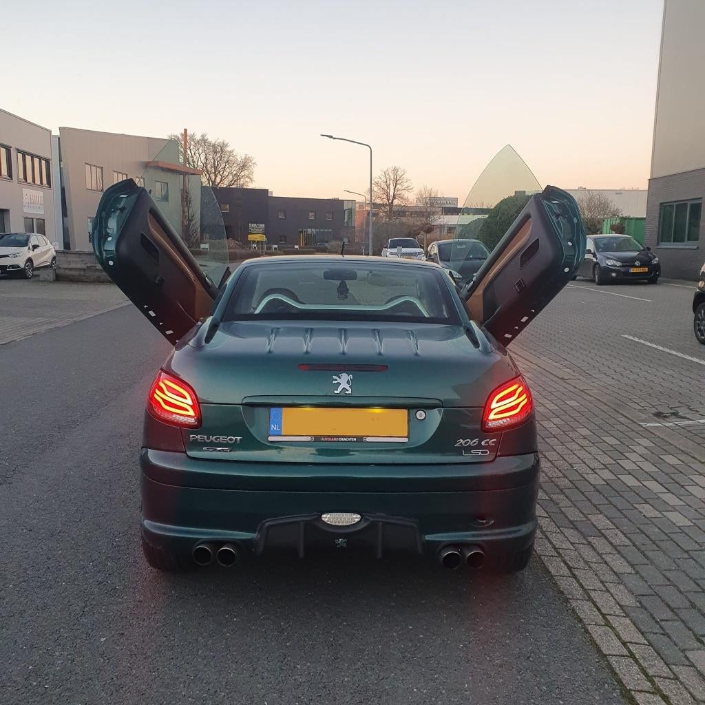 Peugeot 206 Vleugeldeuren LSD, Ophalen of Verzenden
