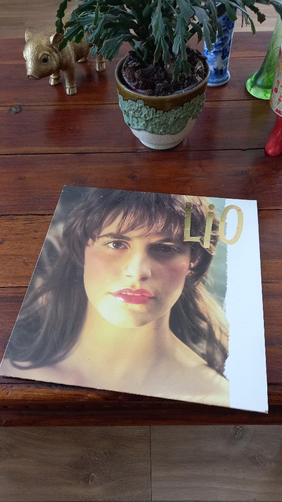 Vinyl 33t lio "1er album " banana split, CD & DVD, Enlèvement, Comme neuf