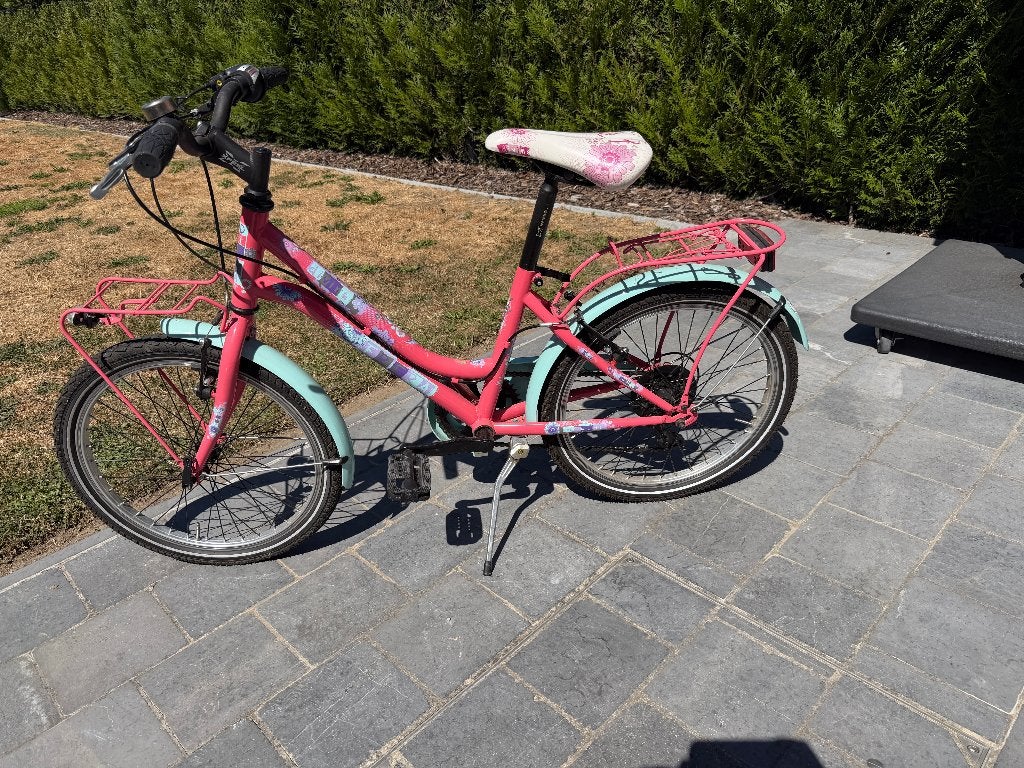 Kinderfiets - 20 inch - roze, Fietsen en Brommers, Fietsen | Kinderfietsjes, Ophalen, Gebruikt, Velgrem, 16 tot 20 inch