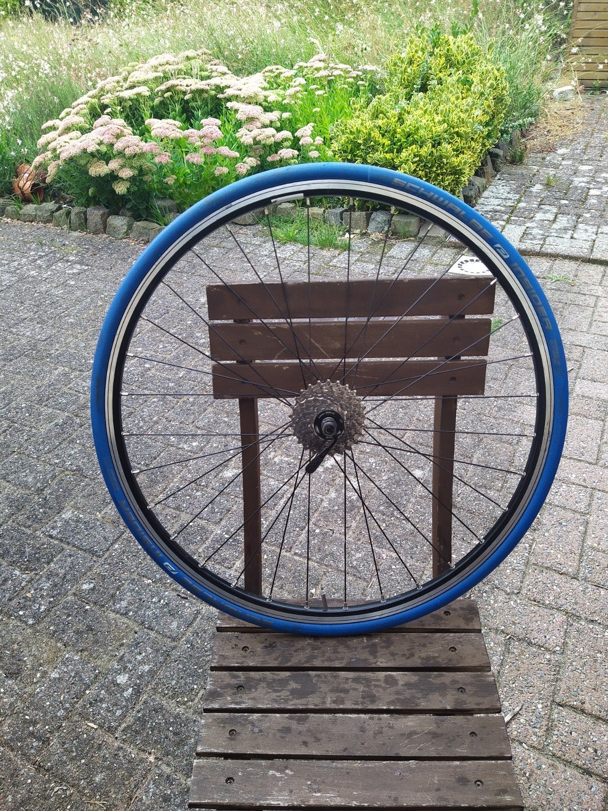 wiel met Indoorband en 8speed casette, Ophalen, Wiel
