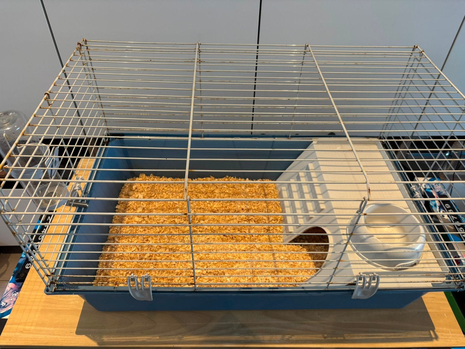 Kooi voor Cavia 's, Ophalen, Kooi, Cavia