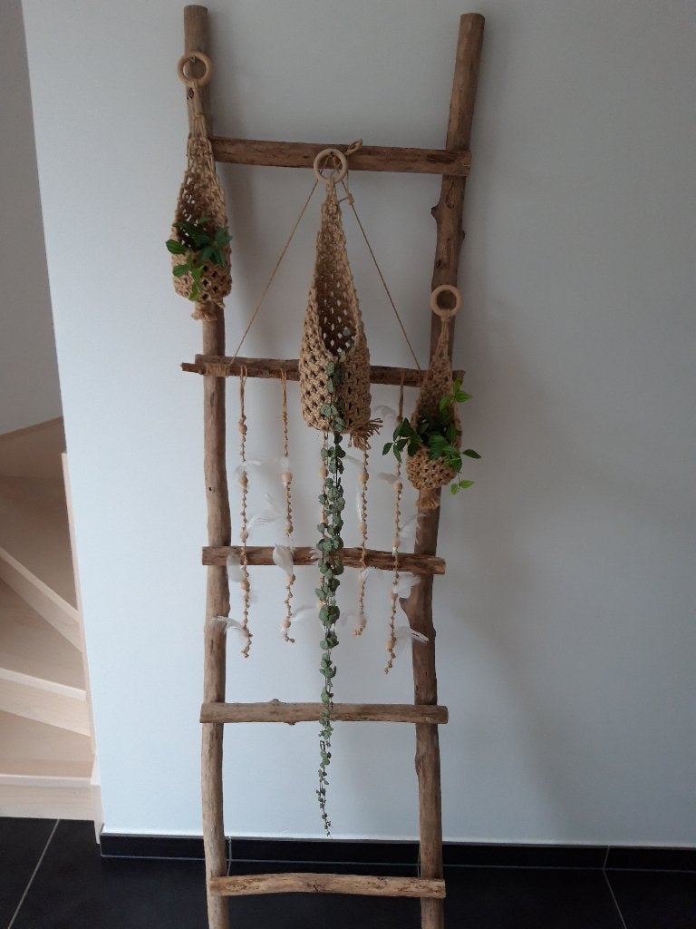 Decoratieladder met hangplanten, Ophalen, Overige soorten, Halfschaduw, In pot