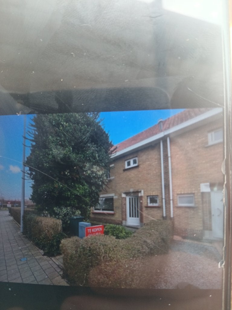 Brandhout boom, Ophalen, 400 cm of meer