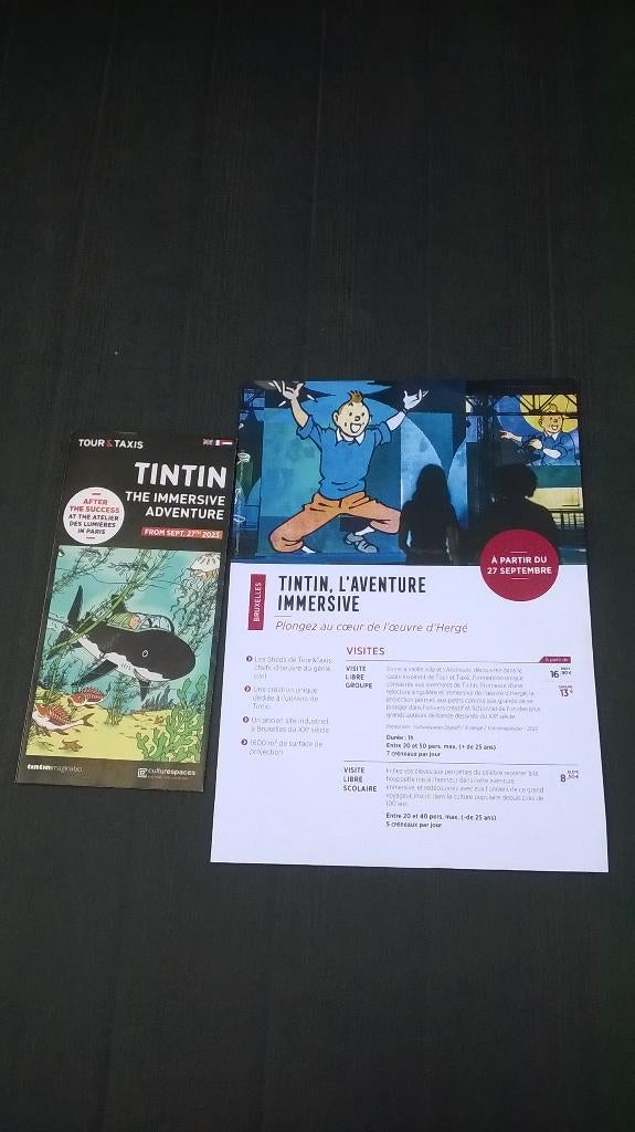 Kuifje: Flyers L’aventure Immersive, Boeken, Ophalen of Verzenden, Zo goed als nieuw, Meerdere stripboeken, Herge